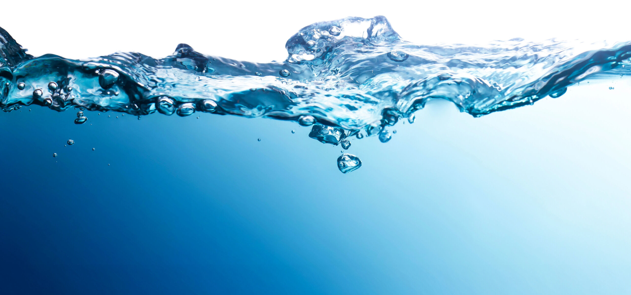 © Montri - stock.adobe.com